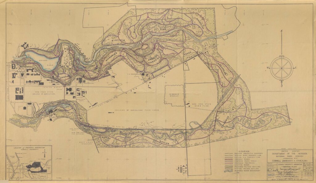 1938 Arboretum Master Plan, N.M. Wells, National Park Service. Map showing proposed roads, paths, and plantings.