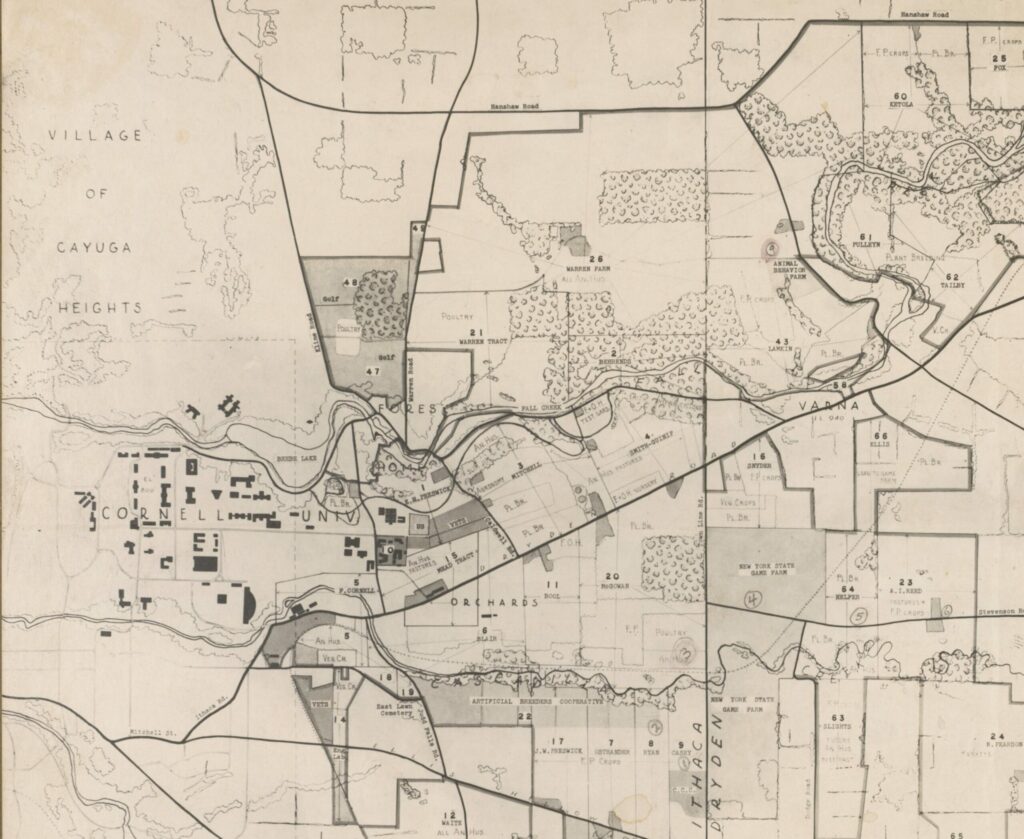 Extract from 1951 map of Lands Administered by the N.Y. State College of Agriculture. Showing lands close to Cornell campus.